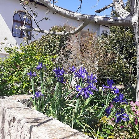 Raslina Apartman Sunce מראה חיצוני תמונה