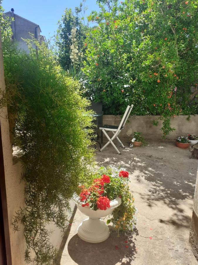 Raslina Apartman Sunce מראה חיצוני תמונה