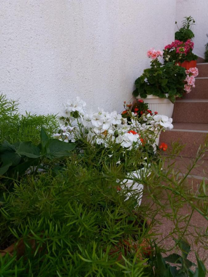 Raslina Apartman Sunce מראה חיצוני תמונה