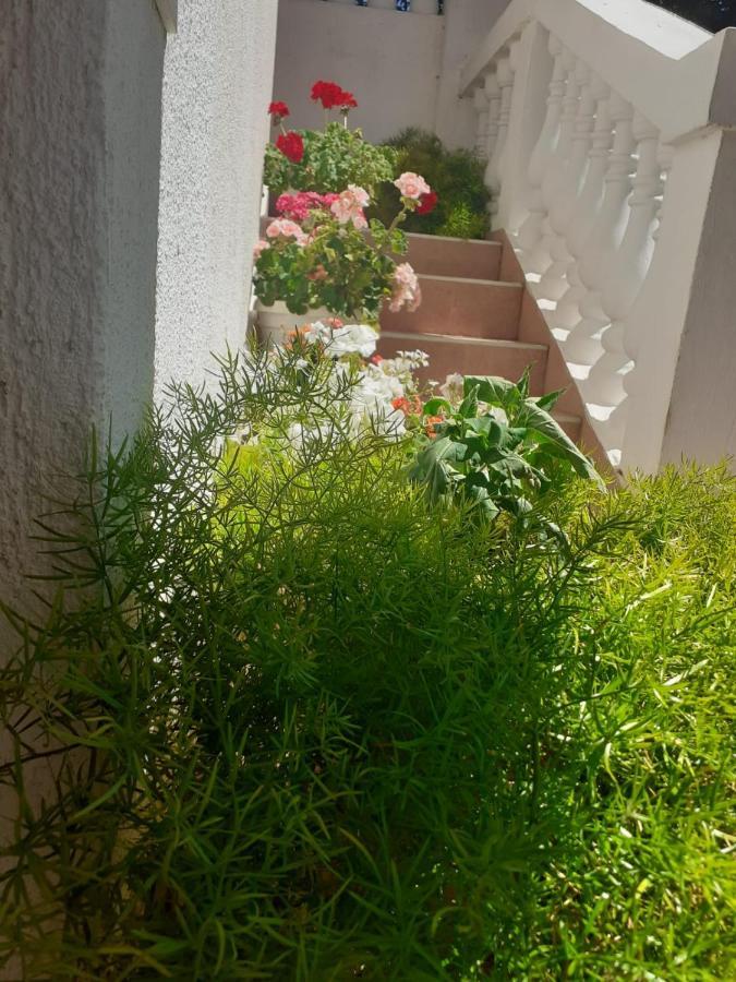 Raslina Apartman Sunce מראה חיצוני תמונה