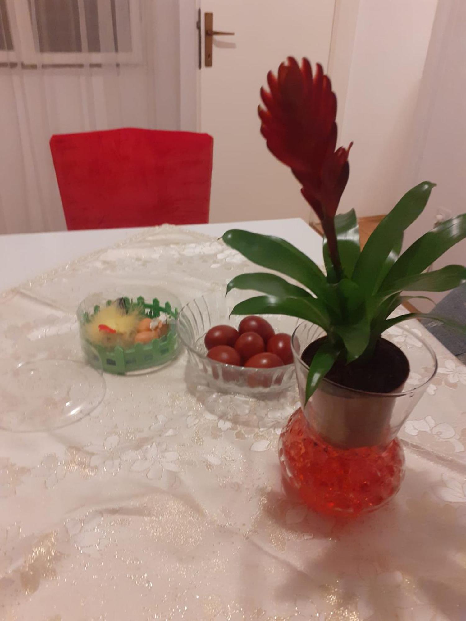 Raslina Apartman Sunce מראה חיצוני תמונה