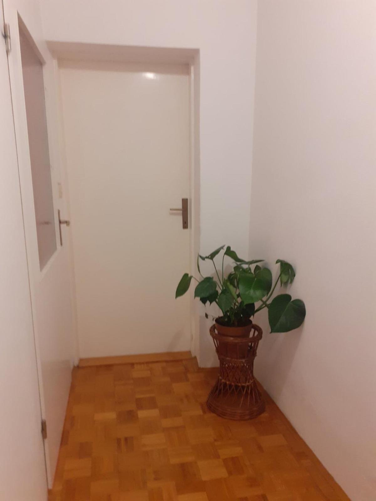 Raslina Apartman Sunce מראה חיצוני תמונה
