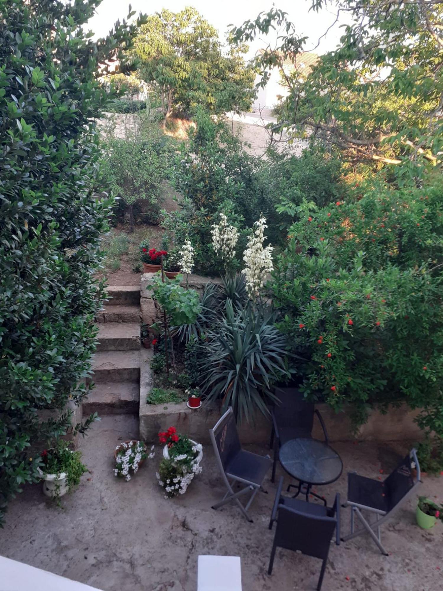 Raslina Apartman Sunce מראה חיצוני תמונה