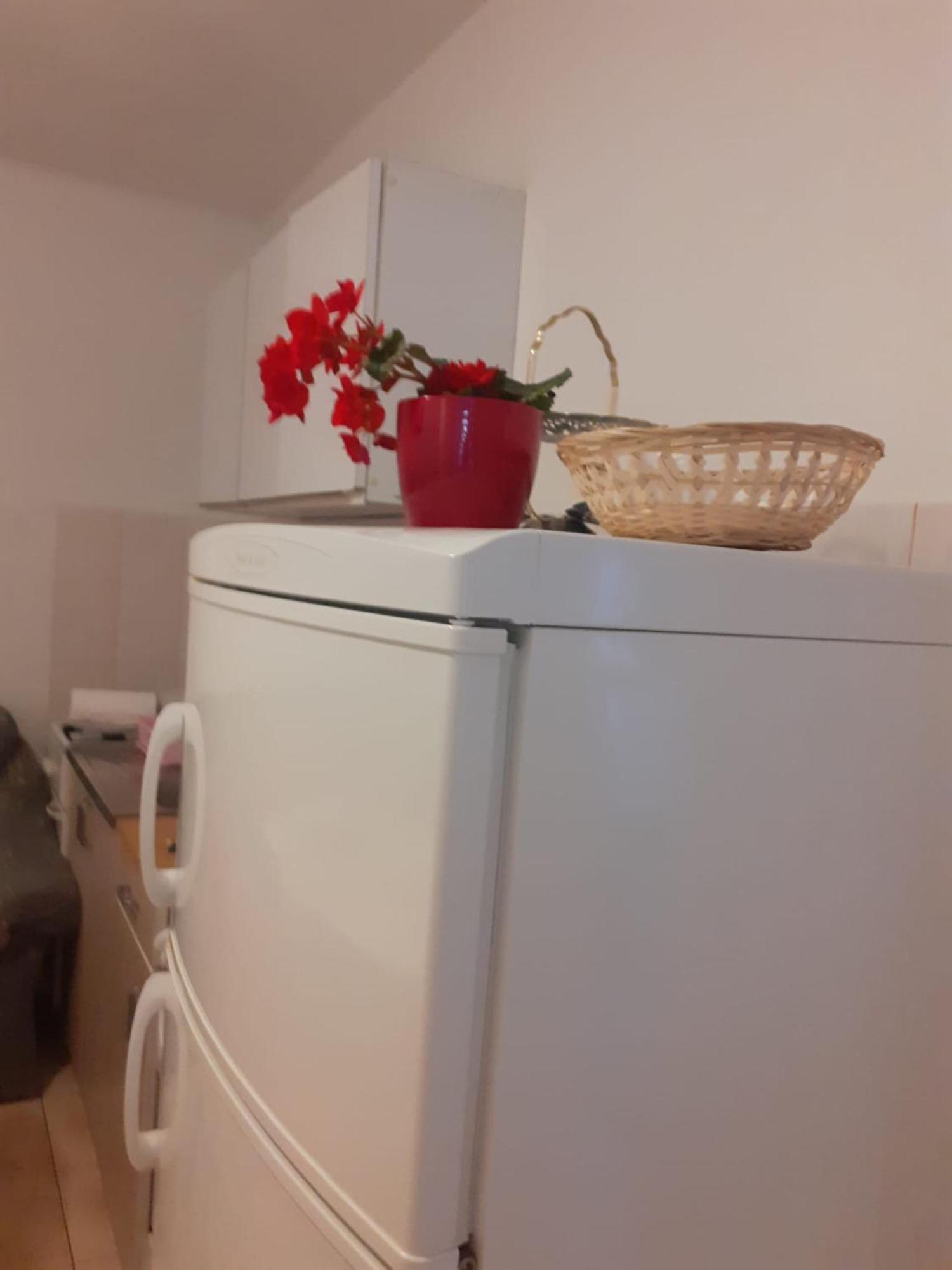 Raslina Apartman Sunce מראה חיצוני תמונה